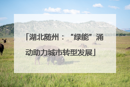 湖北随州：“绿能”涌动助力城市转型发展