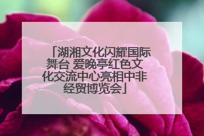 湖湘文化闪耀国际舞台 爱晚亭红色文化交流中心亮相中非经贸博览会