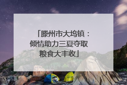 滕州市大坞镇：倾情助力三夏夺取粮食大丰收