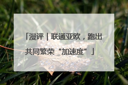 漫评｜联通亚欧，跑出共同繁荣“加速度”