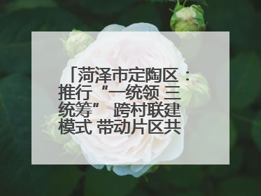 菏泽市定陶区：推行“一统领 三统筹” 跨村联建模式 带动片区共同富裕