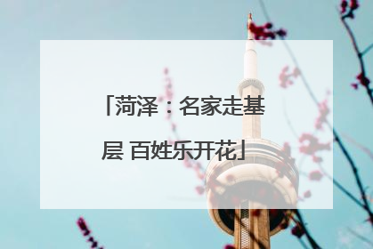 菏泽：名家走基层 百姓乐开花
