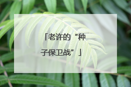 老许的“种子保卫战”