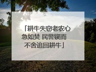 耕牛失窃老农心急如焚 民警锲而不舍追回耕牛