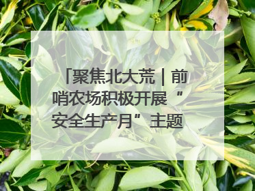 聚焦北大荒｜前哨农场积极开展“安全生产月”主题宣传活动