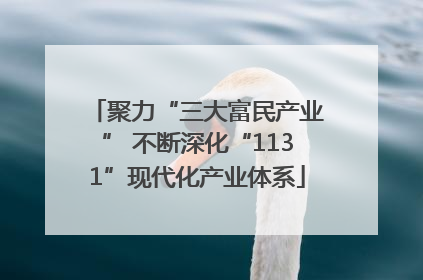 聚力“三大富民产业” 不断深化“1131”现代化产业体系