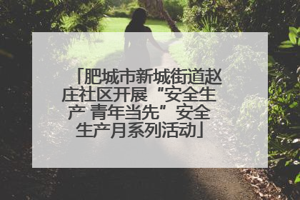 肥城市新城街道赵庄社区开展“安全生产 青年当先”安全生产月系列活动