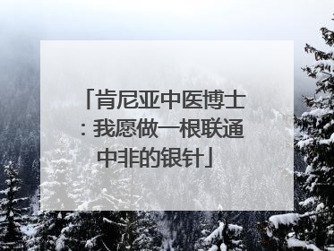 肯尼亚中医博士：我愿做一根联通中非的银针