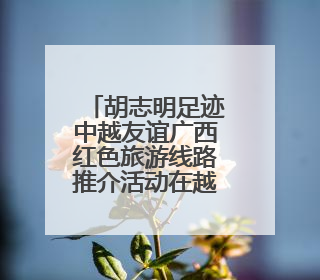 胡志明足迹中越友谊广西红色旅游线路推介活动在越南河内举行