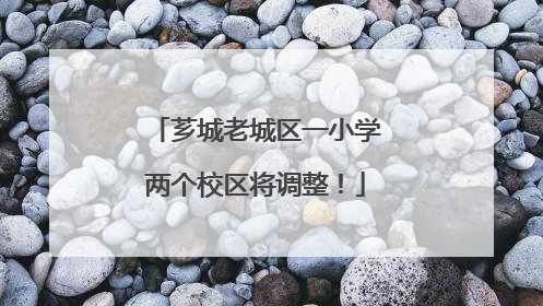 芗城老城区一小学两个校区将调整！