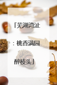 芜湖湾沚：桃香满园醉枝头