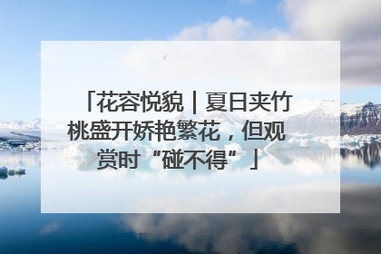 花容悦貌｜夏日夹竹桃盛开娇艳繁花，但观赏时“碰不得”