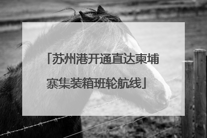 苏州港开通直达柬埔寨集装箱班轮航线