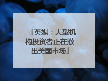 英媒：大型机构投资者正在撤出美国市场