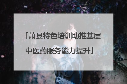萧县特色培训助推基层中医药服务能力提升