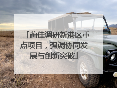 蔺佳调研新港区重点项目，强调协同发展与创新突破
