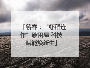 蕲春：“虾稻连作”破困局 科技赋能焕新生