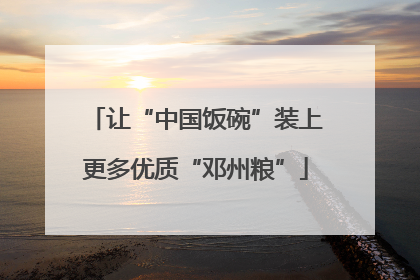 让“中国饭碗”装上更多优质“邓州粮”