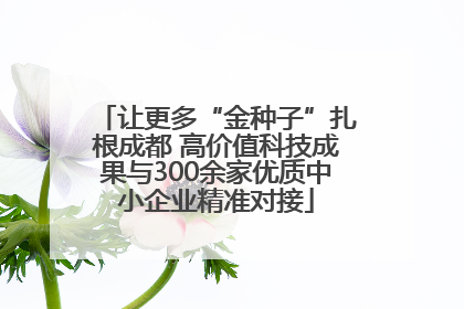让更多“金种子”扎根成都 高价值科技成果与300余家优质中小企业精准对接