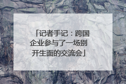 记者手记：跨国企业参与了一场别开生面的交流会