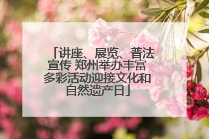 讲座、展览、普法宣传 郑州举办丰富多彩活动迎接文化和自然遗产日