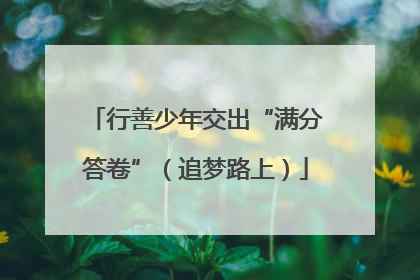 行善少年交出“满分答卷”（追梦路上）