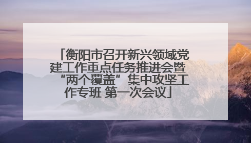 衡阳市召开新兴领域党建工作重点任务推进会暨“两个覆盖”集中攻坚工作专班 第一次会议