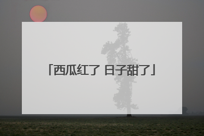 西瓜红了 日子甜了