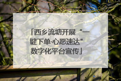 西乡流塘开展“一键下单·心愿速达”数字化平台宣传