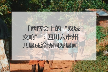 西博会上的“双城交响”：四川六市州共展成渝协同发展画卷｜西博视界