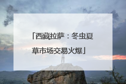 西藏拉萨：冬虫夏草市场交易火爆