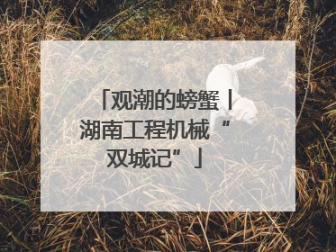 观潮的螃蟹丨湖南工程机械“双城记”