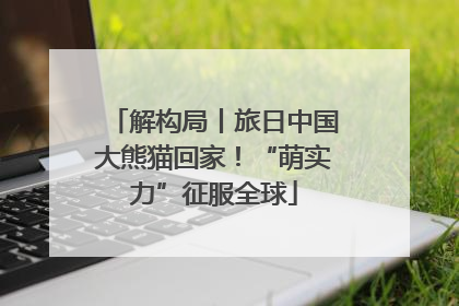 解构局丨旅日中国大熊猫回家！“萌实力”征服全球
