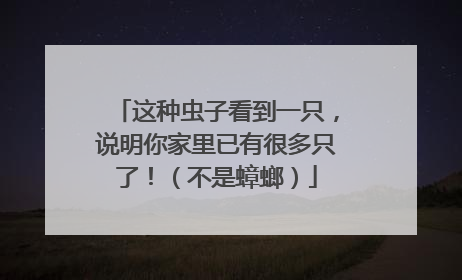 这种虫子看到一只，说明你家里已有很多只了！（不是蟑螂）