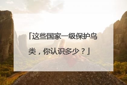 这些国家一级保护鸟类，你认识多少？