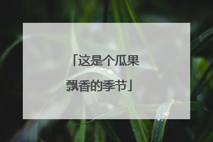 这是个瓜果飘香的季节