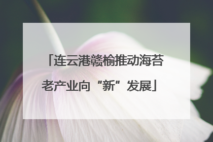 连云港赣榆推动海苔老产业向“新”发展