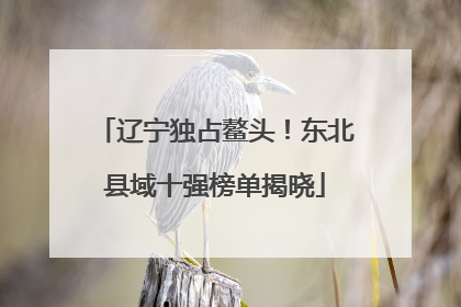 辽宁独占鳌头！东北县域十强榜单揭晓