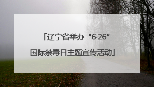 辽宁省举办“6·26”国际禁毒日主题宣传活动