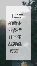 辽宁能源企业多措并举备战迎峰度夏
