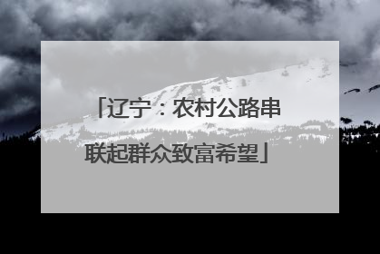 辽宁：农村公路串联起群众致富希望