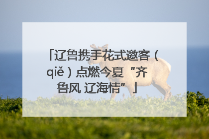 辽鲁携手花式邀客（qiě）点燃今夏“齐鲁风 辽海情”