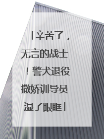 辛苦了，无言的战士！警犬退役撒娇训导员湿了眼眶