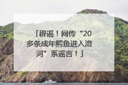 辟谣！网传“20多条成年鳄鱼进入澧河”系谣言！