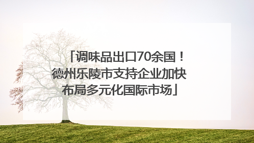 调味品出口70余国！德州乐陵市支持企业加快布局多元化国际市场