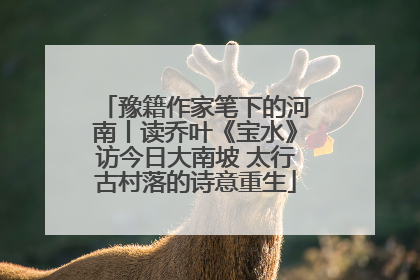 豫籍作家笔下的河南丨读乔叶《宝水》访今日大南坡 太行古村落的诗意重生