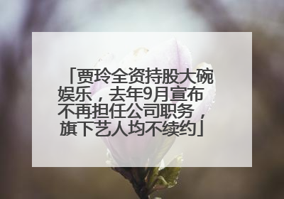 贾玲全资持股大碗娱乐，去年9月宣布不再担任公司职务，旗下艺人均不续约