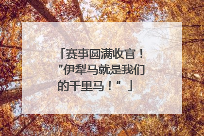 赛事圆满收官！“伊犁马就是我们的千里马！”