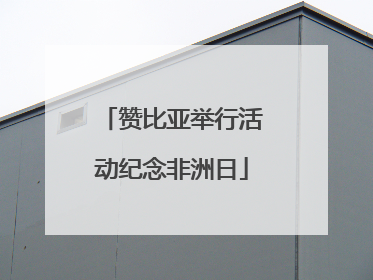 赞比亚举行活动纪念非洲日