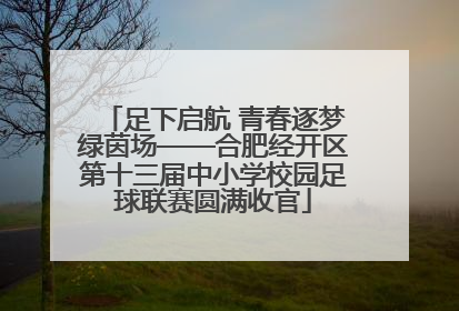 足下启航 青春逐梦绿茵场——合肥经开区第十三届中小学校园足球联赛圆满收官